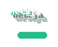 net9ja logo